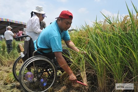 打造「有機田園」輪椅種田人 (雲林， 僅開放團體借閱)